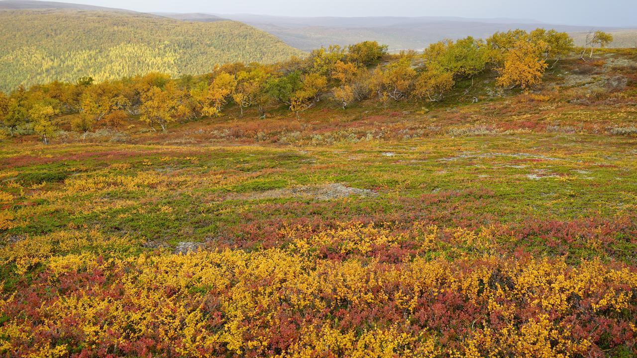 Hotel Lapinkylae Utsjoki Esterno foto